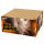 Lesli Big Rhino